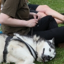 2009-06-27_3303-OBI-MHM_0800.jpg