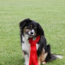 2009-06-27_3333-OBI-MHM_0800.jpg