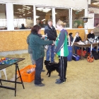 P1000781.JPG