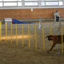 IMG_8530.JPG