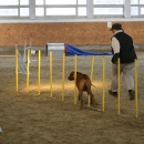 IMG_8533.JPG