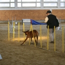 IMG_8534.JPG