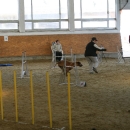 IMG_8543.JPG