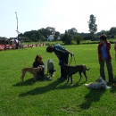 bh_11-09-2010_misc_05