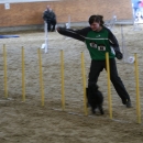 IMG_8613.JPG