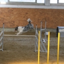IMG_8479.JPG