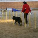IMG_8486.JPG