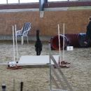 IMG_8488.JPG
