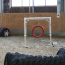 IMG_8490.JPG