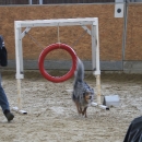 IMG_8500.JPG