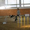 IMG_8608.JPG
