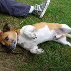 P1010007_.JPG
