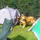 P1010074_.JPG