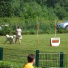 jutur774.jpg