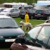 arn20006.jpg