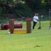 arn20058.jpg