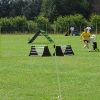 arn20059.jpg