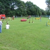 arn20065.jpg