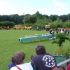 arn20073.jpg