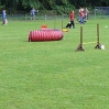arnvorl20065.jpg