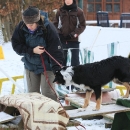 1x2009-12-19_4491-MHM-Winter_0800.jpg