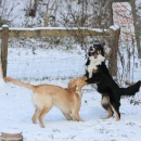 1x2009-12-19_4508-MHM-Winter_0800.jpg