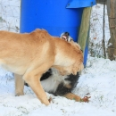 1x2009-12-19_4509-MHM-Winter_0800.jpg
