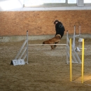 IMG_8554.JPG
