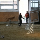 IMG_8557.JPG