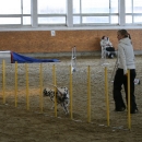 IMG_8569.JPG