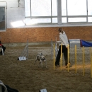 IMG_8571.JPG
