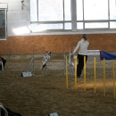 IMG_8572.JPG