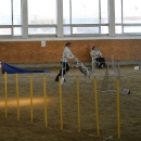 IMG_8579.JPG