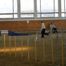 IMG_8580.JPG