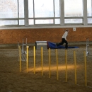 IMG_8582.JPG
