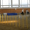 IMG_8583.JPG