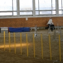 IMG_8584.JPG