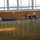 IMG_8585.JPG