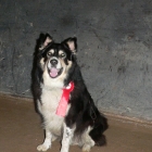 Jan 2008 185.jpg
