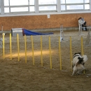 IMG_8592.JPG