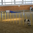 IMG_8593.JPG