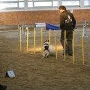 IMG_8594.JPG