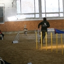 IMG_8597.JPG