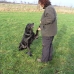 Weihnachten_privat_Hundeverein_2007_057.jpg