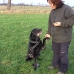 Weihnachten_privat_Hundeverein_2007_063.jpg