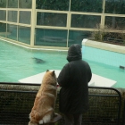 Jan 2008 019.jpg