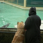 Jan 2008 021.jpg