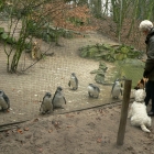 Jan 2008 023.jpg