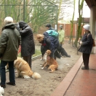 Jan 2008 024.jpg