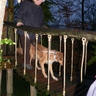 Jan 2008 049.jpg